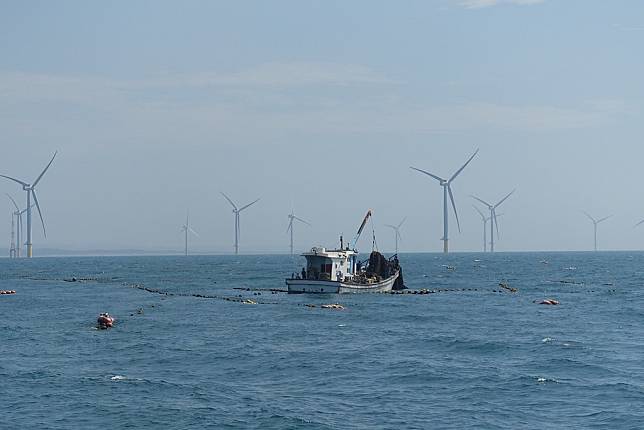 西部海域是漁場、鯨豚棲息地，也是離岸風電的重點發展區域。資料照。攝影：李蘇竣