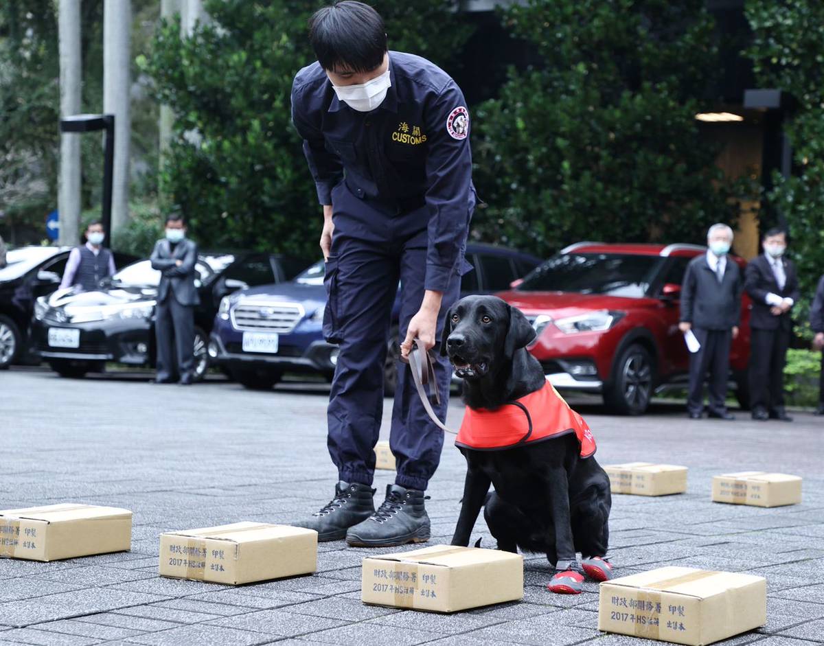 調查局與關務署合作緝毒明星緝毒犬亮相表演好神氣| 聯合新聞網| LINE TODAY