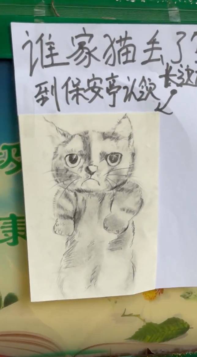 社區保全畫了一張走失貓咪的畫像尋找鏟屎官。（翻攝自小五他爹抖音）