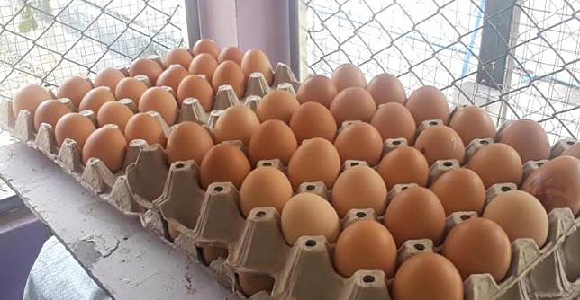 ไข่ได่ราคาถูก1