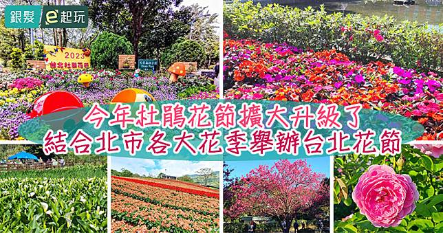 2023台北花節首屆開跑｜台北杜鵑花季升級！杜鵑花/海芋/繡球花一路盛開到6月，「台北花城賞花地圖/捷運站」即時掌握花況