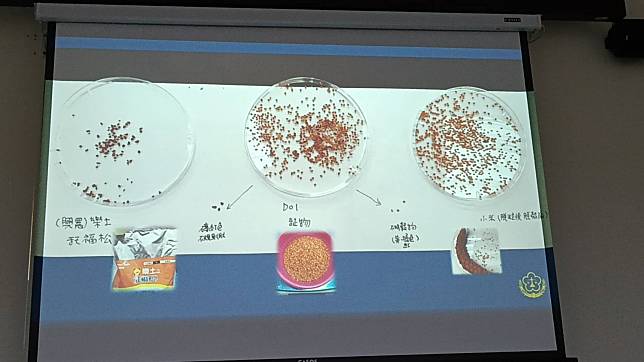 台東地檢署提供勘驗照片，發現小米品種不同而呈黃、紅、橘褐色不等，其中紅褐色小米，與托福松外觀皆係紅褐色，一般而言實不易分辨。記者尤聰光／攝影