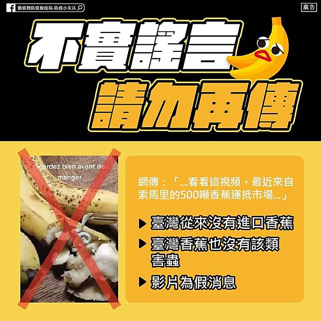 行政院農業委員會主委陳吉仲臉書發文說，台灣沒有從索馬利亞進口任何香蕉，台灣香蕉也從來沒有出現過「螺杆菌」寄生蟲，請民眾不要誤信、轉傳。(取自行政院農業委員會主委陳吉仲臉書)