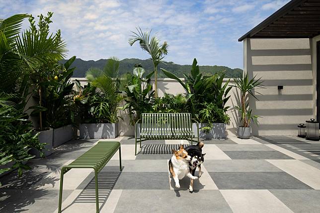 This 3,100-sq.ft. Hong Lok Yuen Residence is the Resort-Style Home of a Young Family