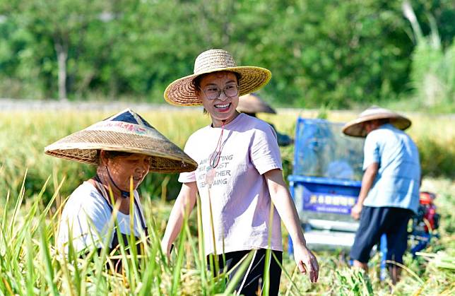 Hou Jiayuan (2nd L) helps villagers harvest rice in Zhouping Village, Cengong County of Qiandongnan Miao and Dong Autonomous Prefecture, southwest China's Guizhou Province, Sept. 25, 2024. (Xinhua/Yang Wenbin)