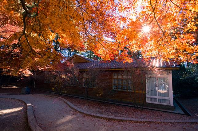 福壽山農場 / 圖片來源：欣傳媒資料庫