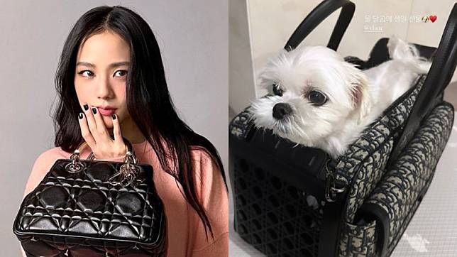 ▲Jisoo送了一款要價11萬元台幣的精品包包，給愛犬當作生日禮物。（圖／Jisoo IG）