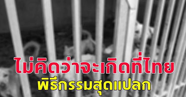 ไม่น่าเชื่อจะเกิดที่ไทย