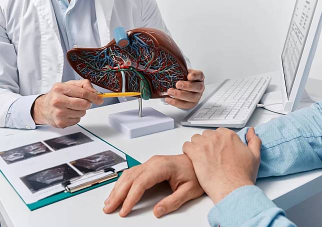 Human,Liver,Model,On,Doctor’s,Table,,Close-up.,Treatment,Of,Hepatitis,