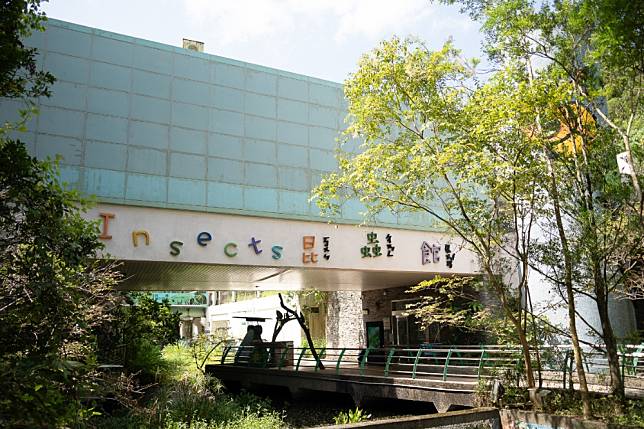 台北市立動物園昆蟲館將在9月21、22日迎來建館20周年。（取自動物園臉書）