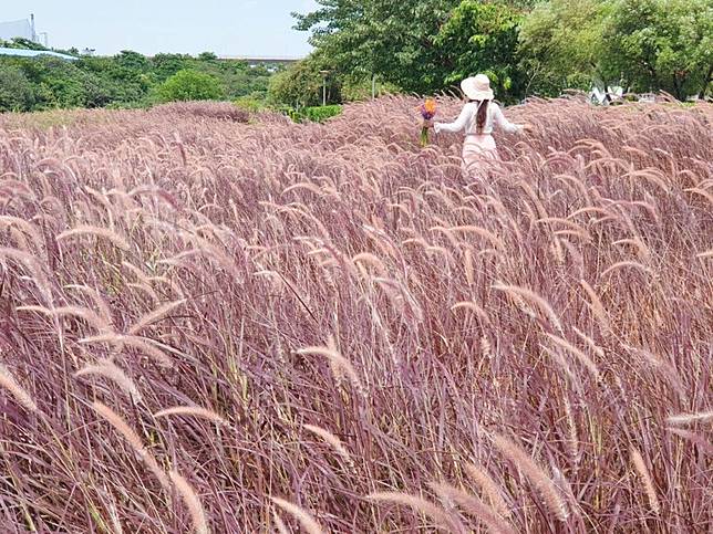 ▲圖片來源：IG@yijiun_lee