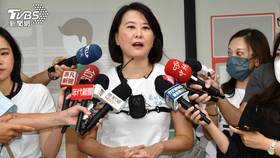國民黨立委王鴻薇助理涉狗仔疑雲，又遭指控假立委名義向廠商索賄。（圖／胡瑞麒攝）