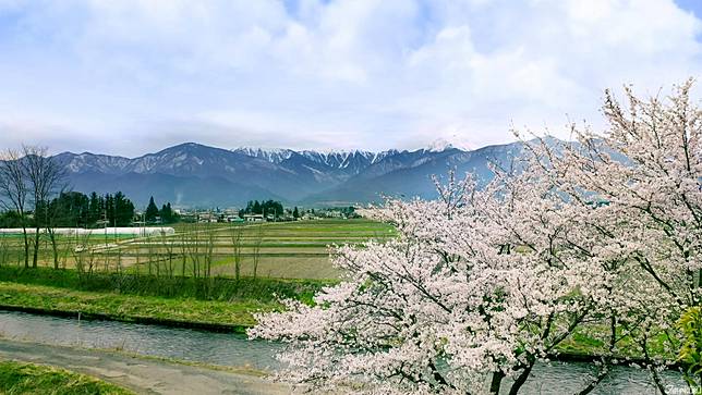 
<p>這次我們在春季來訪白馬地區，看見白雪皚皚的北阿爾卑斯山麓、翠綠的田園交織<a href=