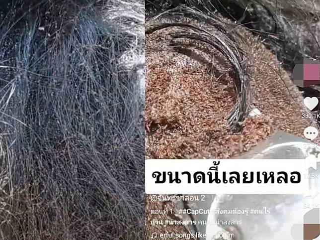 สะพรึง!  'สาวไร้บ้าน'เหาเต็มหัวสุดท้ายต้องโกนผมทิ้ง