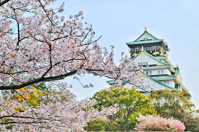 ▲日本旅遊（示意圖／翻攝Pexels）