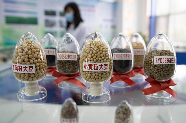 Soybean seeds are pictured at a seed bank for cold-region crops in northeast China's Heilongjiang Province, May 19, 2022. (Xinhua/Zhang Tao)