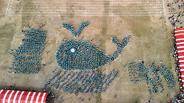 九份子國中小全校學生排成九份子吉祥物鯨魚圖像。（九份子國中小提供）