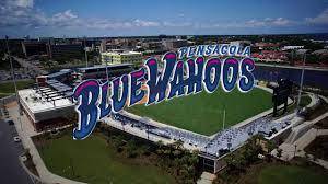 ▲Pensacola Blue Wahoos球場。（圖／取自Pensacola Blue Wahoos Youtube頻道）