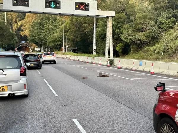 城門隧道兩馬騮疑過馬路遇車禍倒地受傷。（fb「突發馬路車cam大全」圖片）