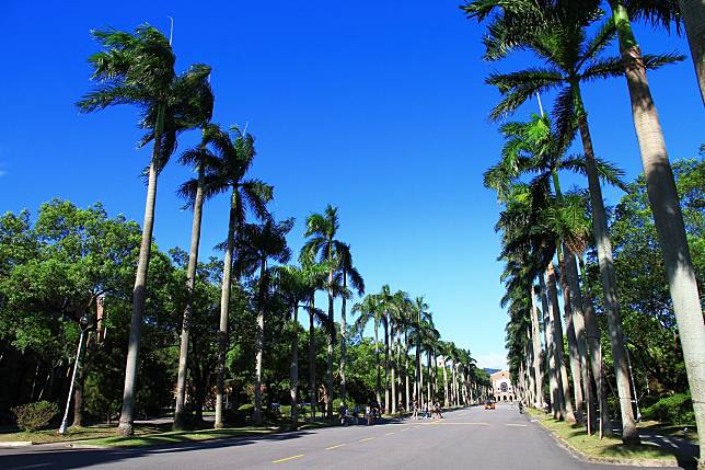 台灣大學加入「探索學習計畫」，用1到2學期在校外場域探索，完成後還可獲得1到6學分   圖：翻攝自台大臉書(資料照片)