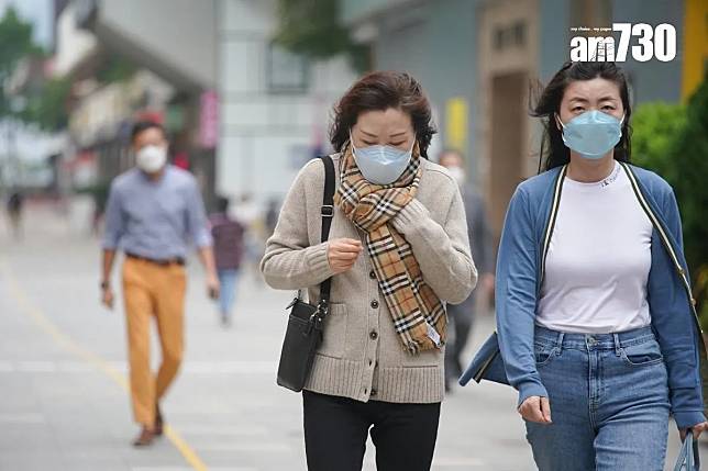 專家預料1至3月是流感高峰期，建議高危人士避免到人多地方