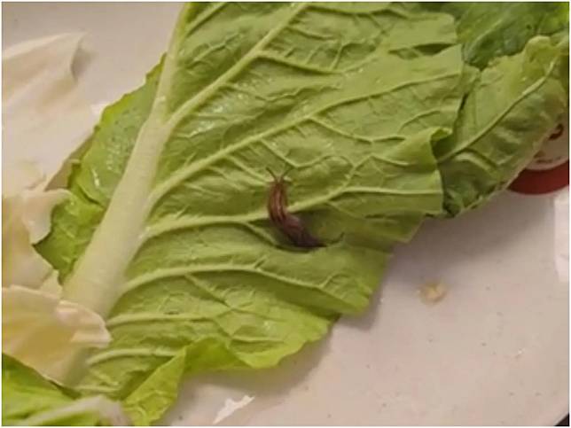 民眾到內湖IKEA店用餐時，發現菜葉上有蛞蝓。（圖／翻攝自Dcard）