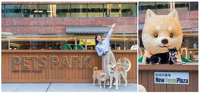 沙田新城市「Pets Park寵物同樂園」（圖片由相關機構提供）