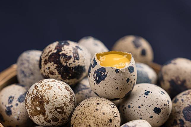 【鳥蛋真相】小小鳥蛋哪裡來？蛋殼為何有花斑？鵪鶉媽媽是日本移民？小鳥事大驚奇