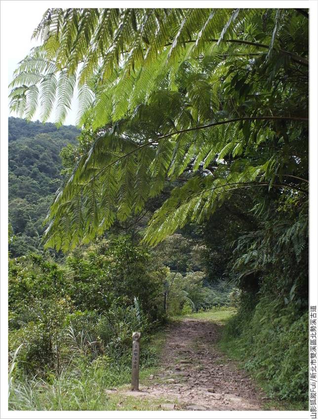 北勢溪古道 (57).JPG - 北勢溪古道