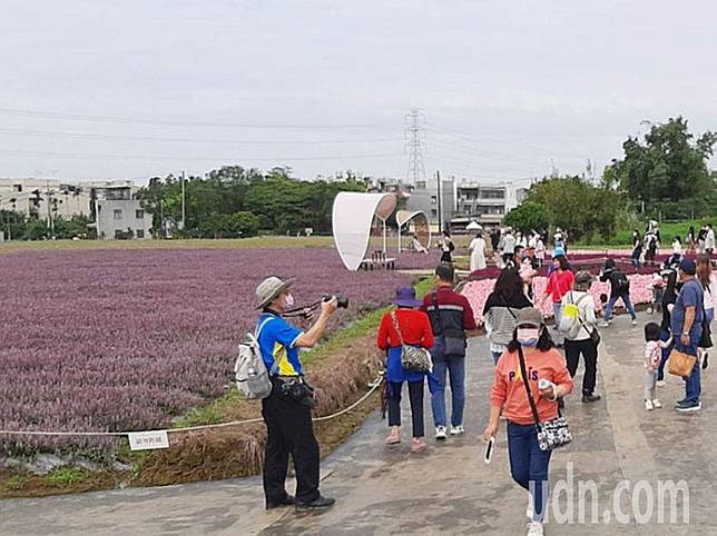 桃園仙草花節連日天氣好，吸引遊客人潮欣賞仙草花紫海，傳出流動攤販詐騙客人情事，警方重視。記者曾增勳／攝影