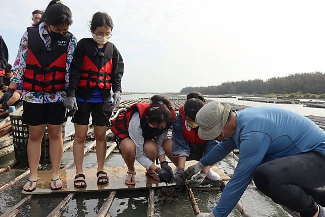 瀛海中學學生體驗養蚵流程。（瀛海中學提供）