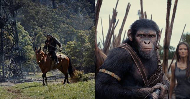 《猩球崛起：王國誕生》6大幕後秘辛！想演猩猩先上「猿人學校」，電影靈感來自「這部」經典大作