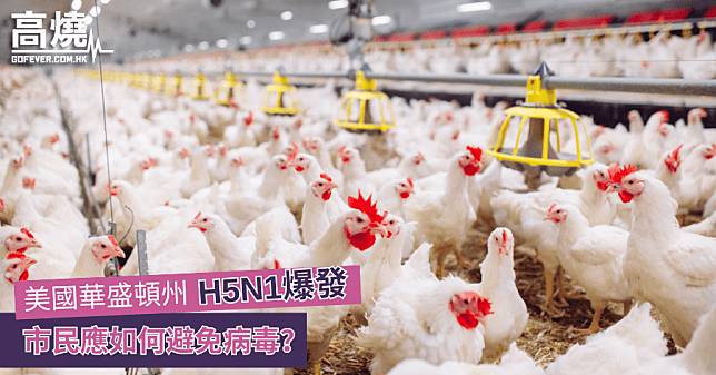 【H5N1】美國華盛頓州H5N1爆發 市民應如何避免病毒？