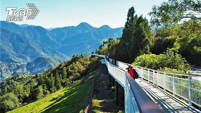 阿里山健行景點-清淨高空景觀步道（圖／Tripbaa趣吧！亞洲自由行專家