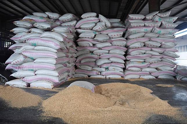 Soybean imports are crushed into animal feed to fuel China’s growing demand for meat. Photo: AFP