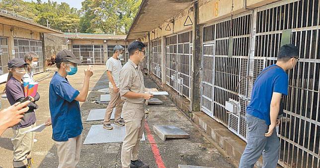 六福村狒狒全數植晶片完成　皆回放飼養區