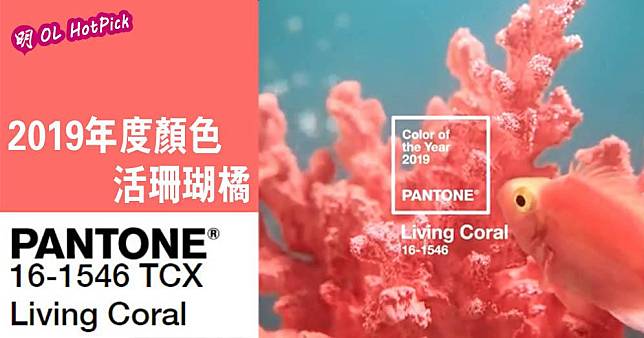 Pantone公布2019年年度色彩為活珊瑚橘色（Living Coral, pantone 16-1546）。（Pantone網站截圖／明報製圖）