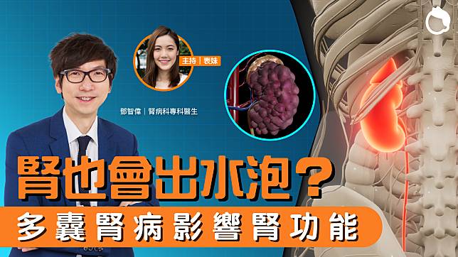 腎臟都會出水泡？醫生解構多囊腎病