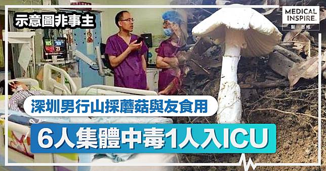 亂採蘑菇｜深圳男採4斤蘑菇與朋友分享食用後、集體中毒送院1人需入ICU！