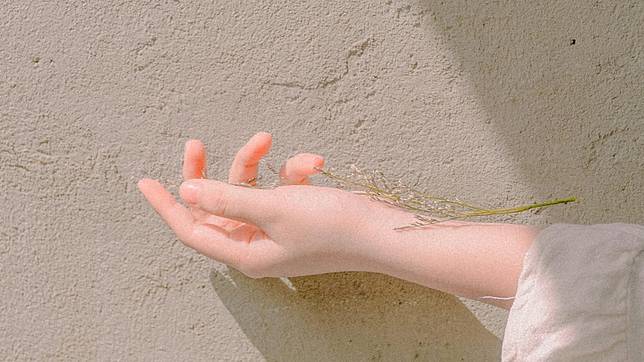 pexels-minan1398-1248936