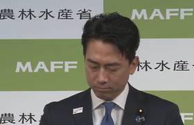 幕僚要求支持者照範本上網讚美遭批評，日本自民黨總裁參選人小泉進次郎緊急召開記者會道歉。