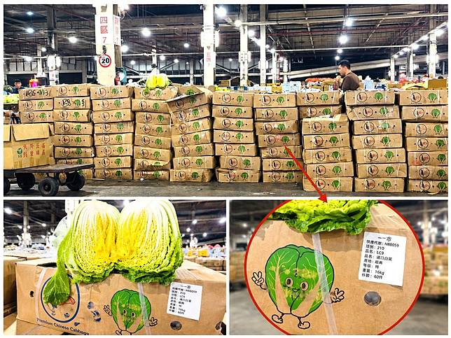 蔬菜危機 01》台灣蔬菜自給率跌至 81%，中國、越南蔬菜暴增，進口蔬菜成常駐軍