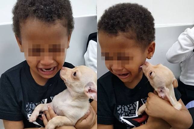 小男孩爆哭：「我有狗狗了」，溫柔小吉舔臉安慰。（圖／AP+ Jukin Media）