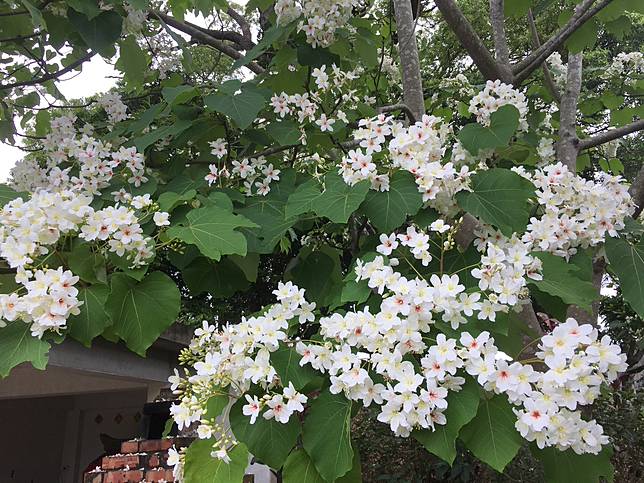 圖片提供/新竹市文化局