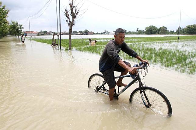 A man rides his bike through floodwater in Sragen Regency, Central Java, Indonesia, Jan. 21, 2025. (Photo by Bram Selo/Xinhua)