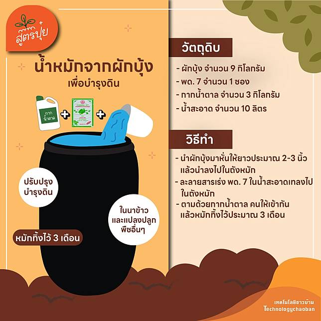 สูตรน้ำหมักจากผักบุ้ง ช่วยบำรุงดิน ปรับสภาพดินให้ร่วนซุย 