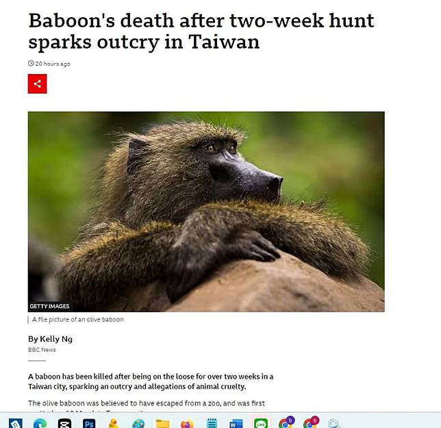 台灣東非狒狒圍捕死亡事件，登上BBC。引自BBC