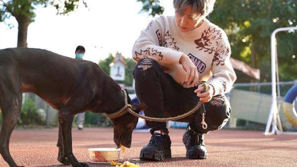 愛牠就應該繫緊牠，飼主放任犬隻在馬路間穿梭，可被裁罰3000元至1萬5000元。（圖片來源／新北市政府動物保護防疫處）