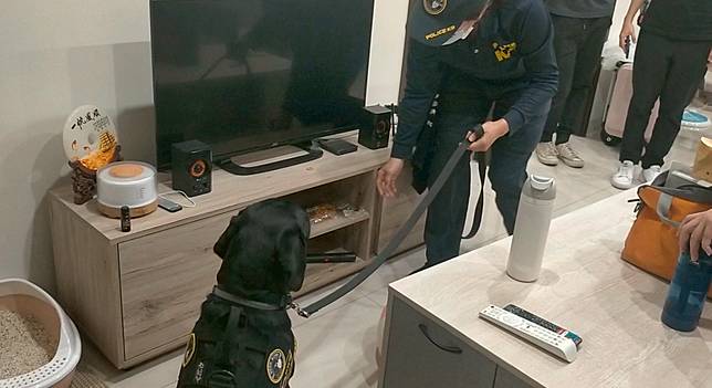 台灣首隻電偵犬「Wafer」。高雄市警察局刑大提供