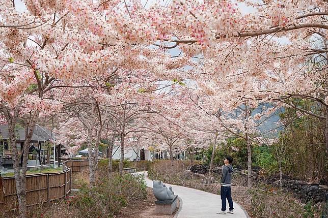 （圖片來源／IG @beckhamhong66）